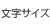 文字サイズ